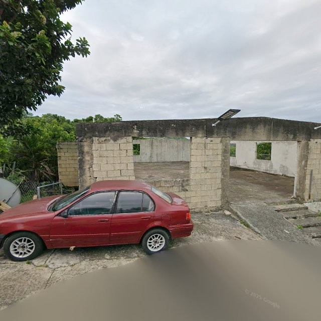 Reporte ciudadano de estorbo público en 5WRG+8RQ Limón, Mayagüez, Puerto Rico, Mayagüez