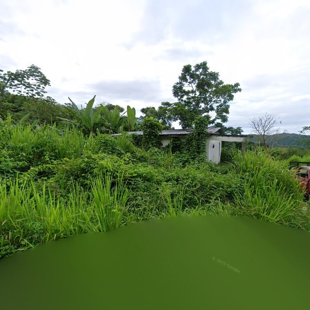 Reporte ciudadano de estorbo público en 5XX8+4H4 Limón, Mayagüez, Puerto Rico, Mayagüez