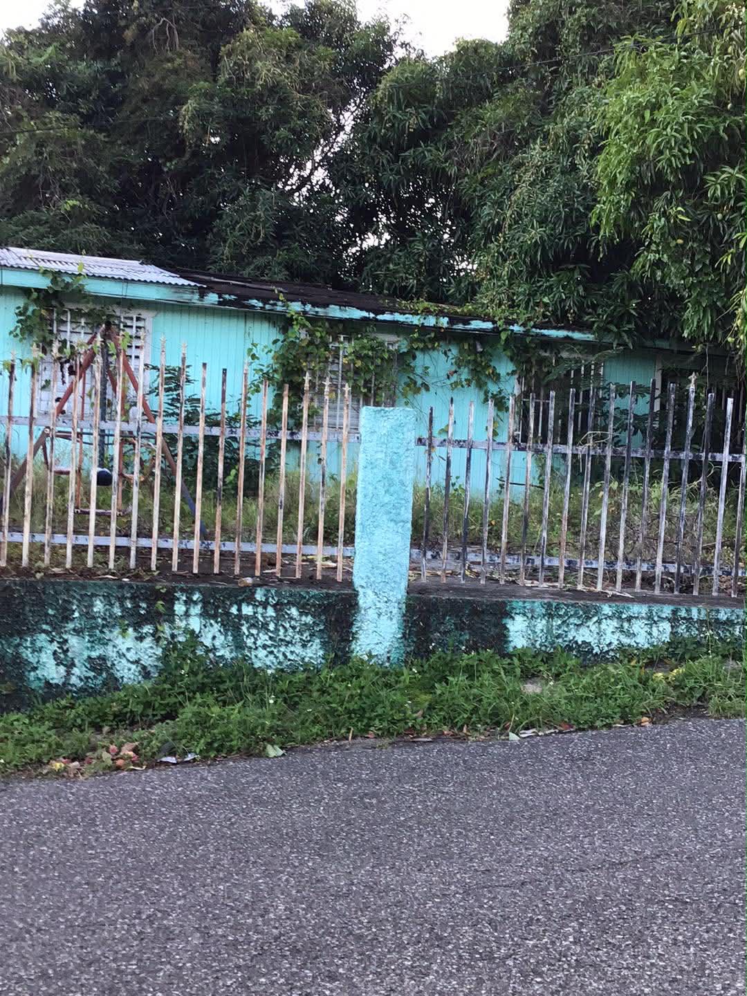 Reporte ciudadano de estorbo público en Camino Juan Lebron, Mayagüez, PR 00680, Mayagüez