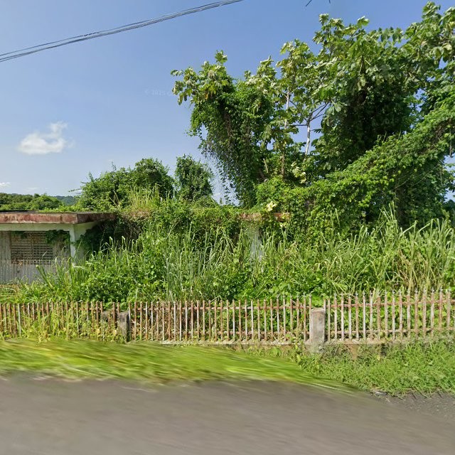 Reporte ciudadano de estorbo público en 6VCF+9P6 Mayagüez, Puerto Rico, Mayagüez