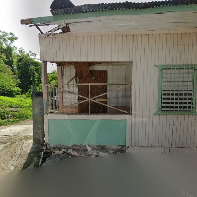 Reporte ciudadano de estorbo público en 6V5C+8RV Mayagüez, Puerto Rico, Mayagüez