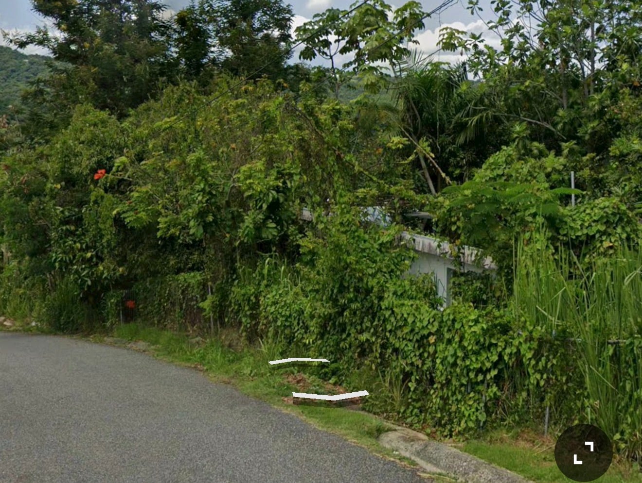 Reporte ciudadano de estorbo público en Carr 106 barrio quemado, Mayaguez, PR 00681, Mayagüez