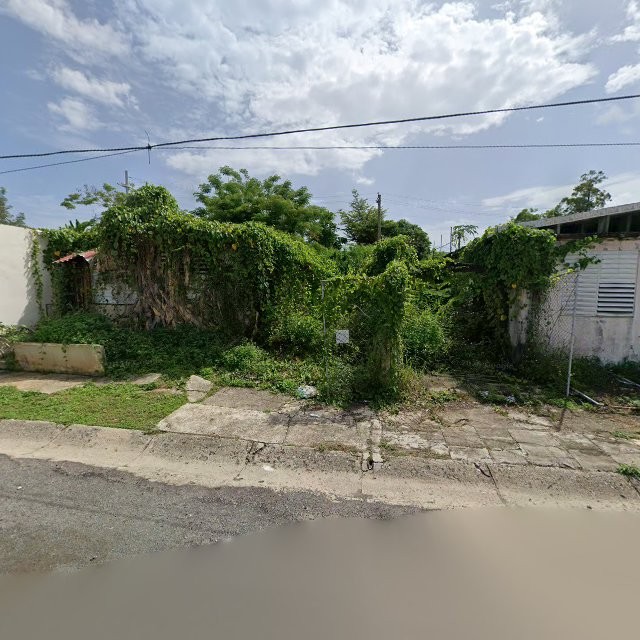 Reporte ciudadano de estorbo público en 6V84+332 Mayagüez, Puerto Rico, Mayagüez