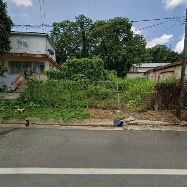 Reporte ciudadano de estorbo público en 6W65+2WP Quemado, Mayagüez, Puerto Rico, Mayagüez