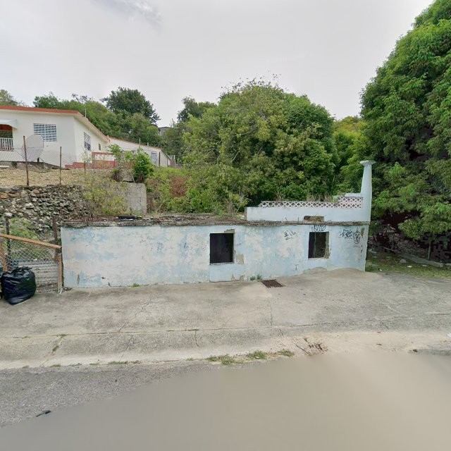 Reporte ciudadano de estorbo público en X7VP+J7H Tallaboa, Peñuelas, Puerto Rico, Peñuelas