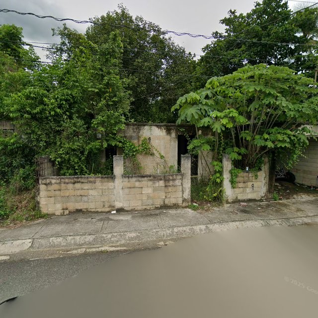 Reporte ciudadano de estorbo público en 373J+CHV Peñuelas, Puerto Rico, Peñuelas