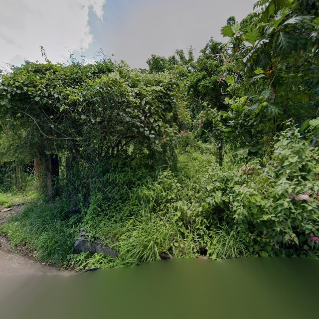 Reporte ciudadano de estorbo público en 367M+2R3 Santo Domingo, Peñuelas, Puerto Rico, Peñuelas