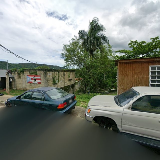 Reporte ciudadano de estorbo público en 3863+9FF Tallaboa Alta, Peñuelas, Puerto Rico, Peñuelas