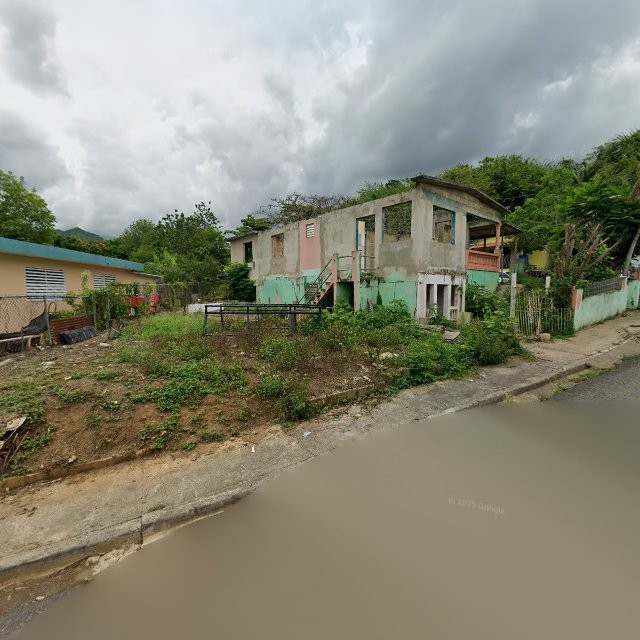 Reporte ciudadano de estorbo público en 3873+27V Tallaboa Alta, Peñuelas, Puerto Rico, Peñuelas