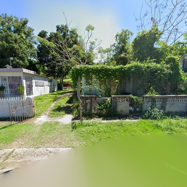 Reporte ciudadano de estorbo público en 378H+37G Peñuelas, Puerto Rico, Peñuelas