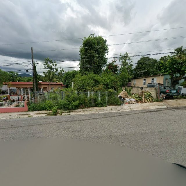Reporte ciudadano de estorbo público en 3853+VFH Tallaboa Alta, Peñuelas, Puerto Rico, Peñuelas