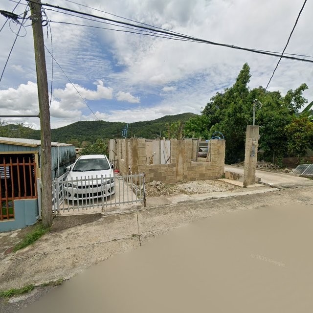 Reporte ciudadano de estorbo público en 373R+HPQ Tallaboa Alta, Peñuelas, Puerto Rico, Peñuelas