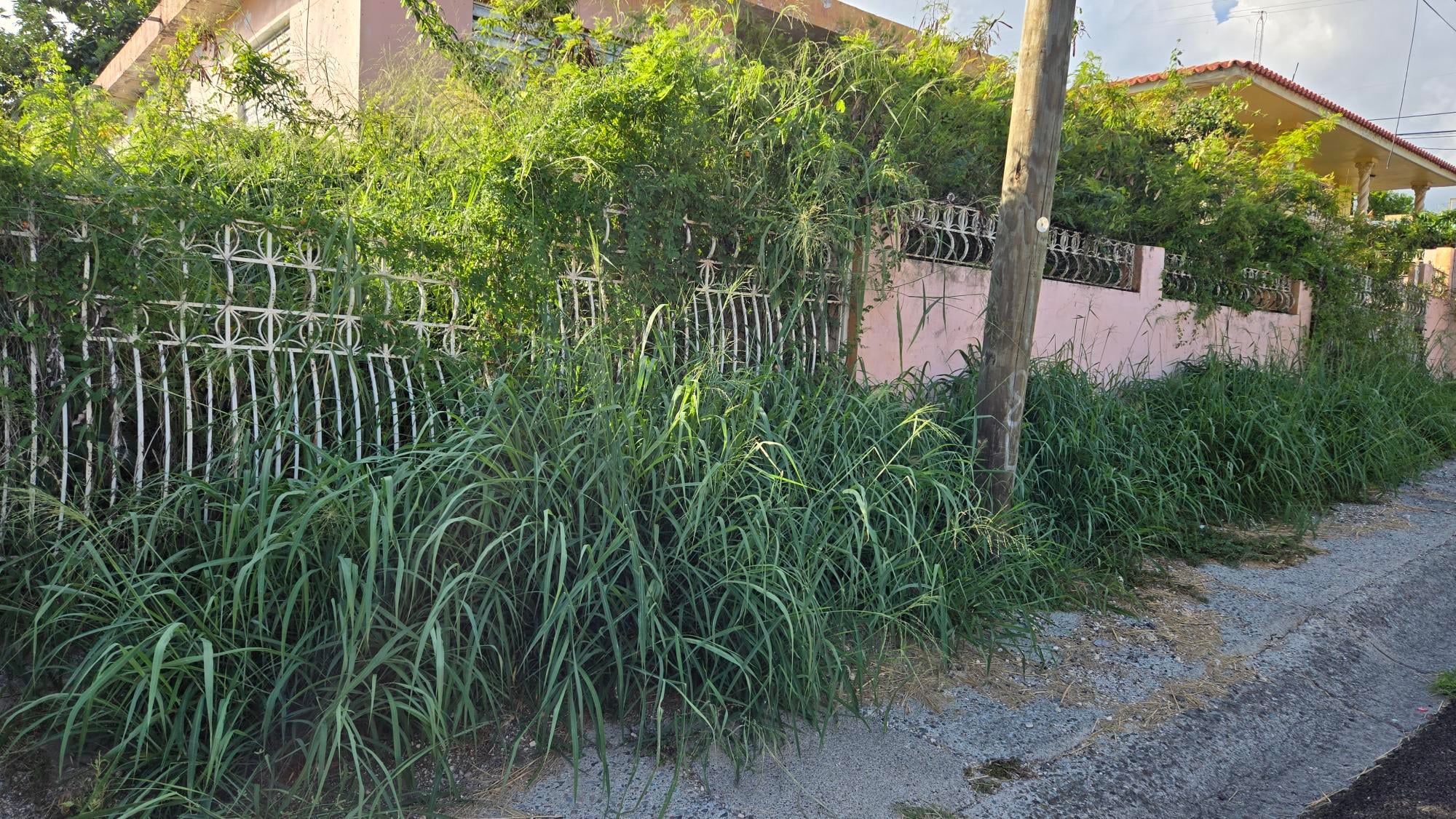 Reporte ciudadano de estorbo público en Calle Francisco Lugo Q33 , Nueva Vida, PR 00728, Ponce