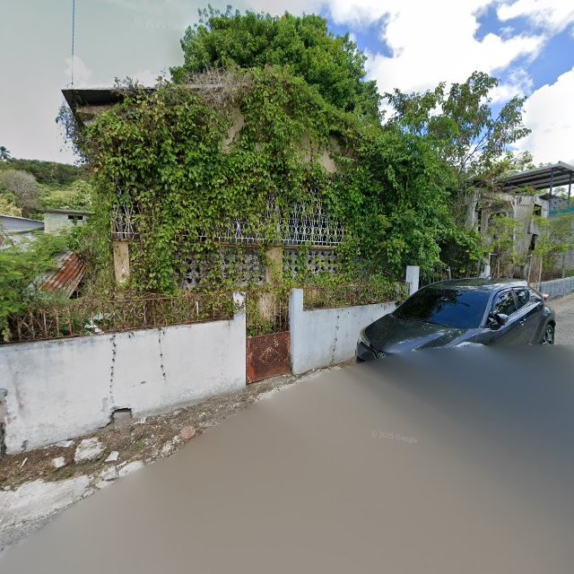 Reporte ciudadano de estorbo público en 29GP+24X Ponce, Puerto Rico, Ponce