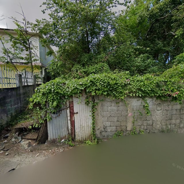 Reporte ciudadano de estorbo público en 3C8M+5MR Cerrillos, Ponce, Puerto Rico, Ponce