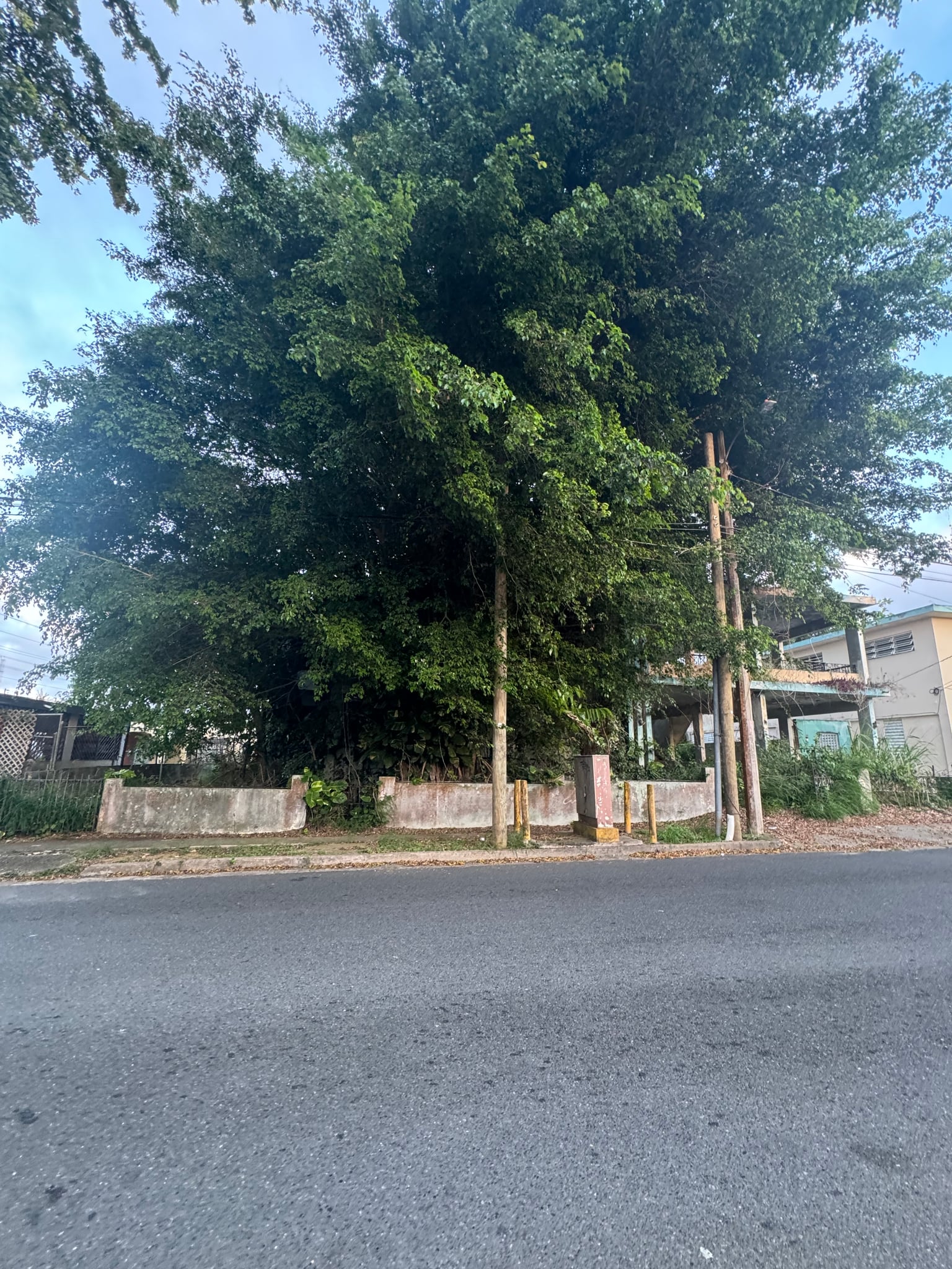 Reporte ciudadano de estorbo público en Calle Ruiz Soler , Quebradillas, PR 00678, Quebradillas