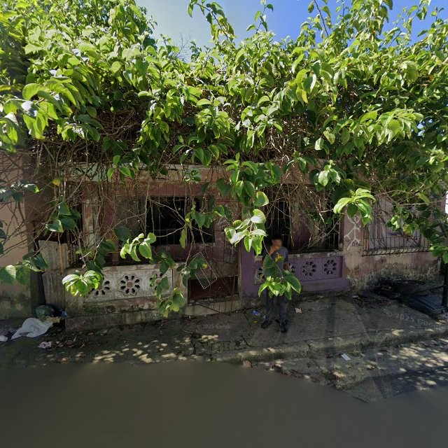 Reporte ciudadano de estorbo público en 95H8+GJF Río Grande, Puerto Rico, Río Grande