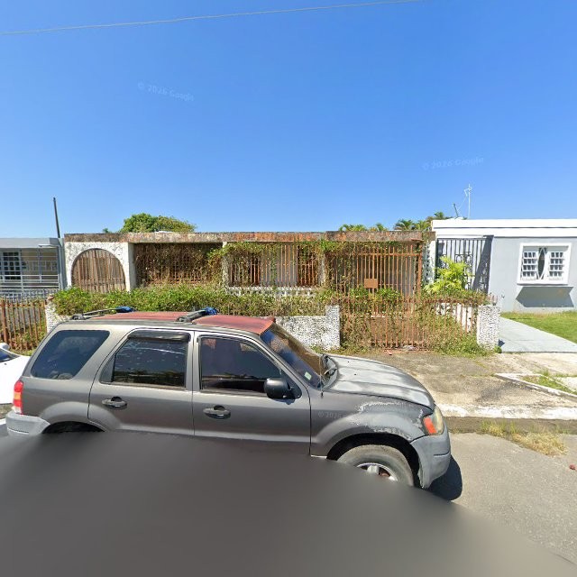 Reporte ciudadano de estorbo público en 95G2+H9W Río Grande, Puerto Rico, Río Grande