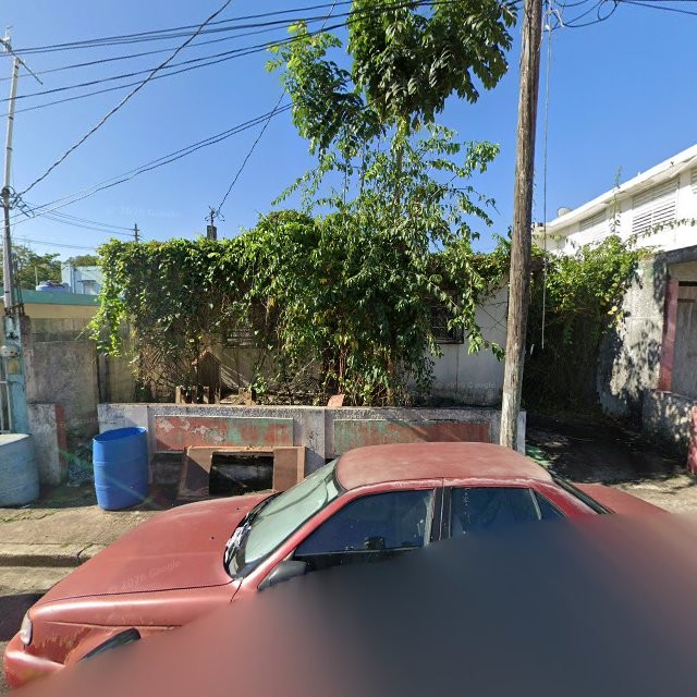 Reporte ciudadano de estorbo público en 95JC+3C6 Río Grande, Puerto Rico, Río Grande