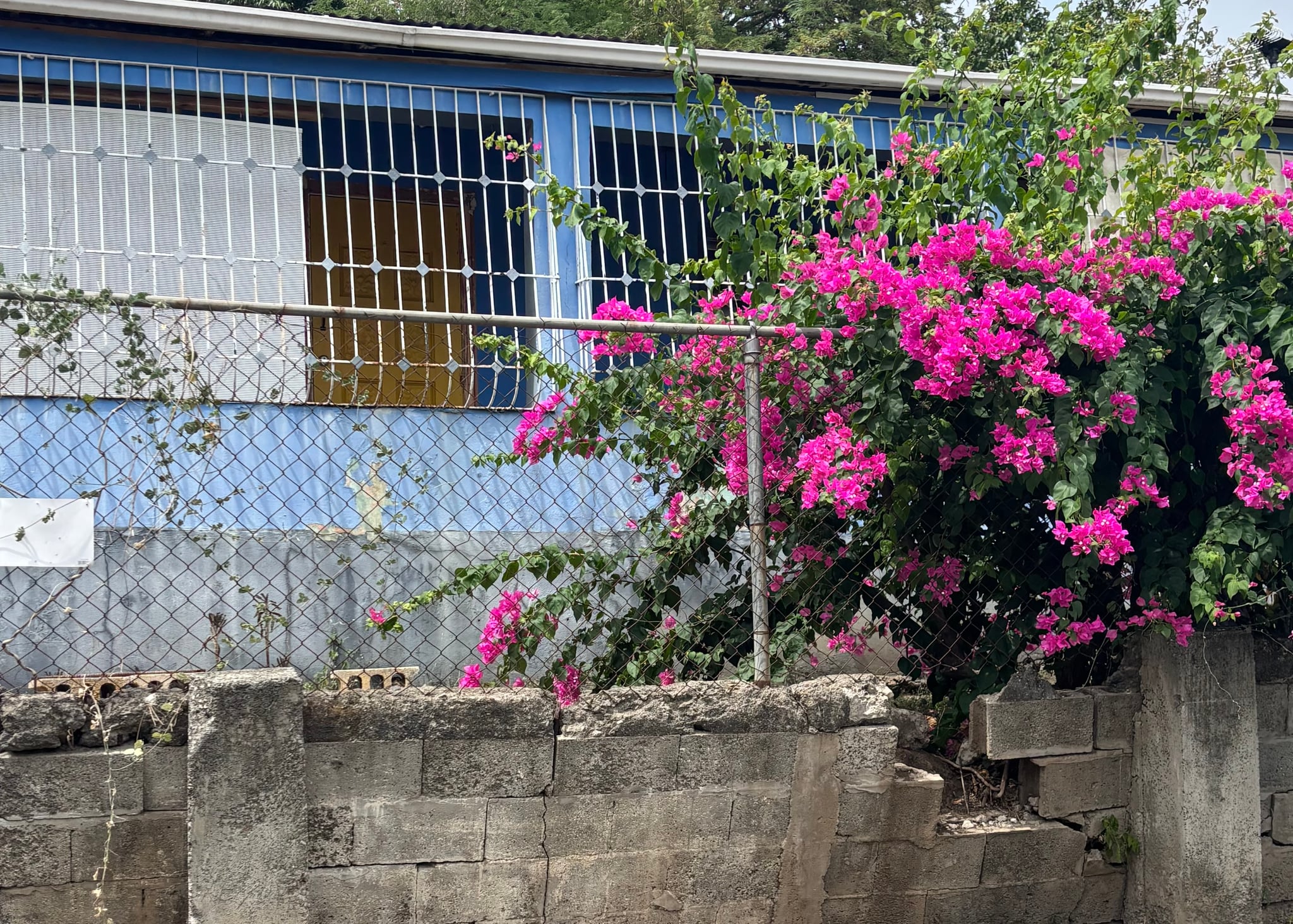 Reporte ciudadano de estorbo público en Carretera 121 KM 6.0 INT, Sector Puente Maginas, PR 00637, Sabana Grande