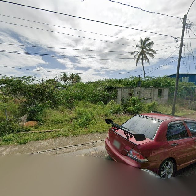 Reporte ciudadano de estorbo público en XQ9R+277 Coquí, Salinas, Puerto Rico, Salinas