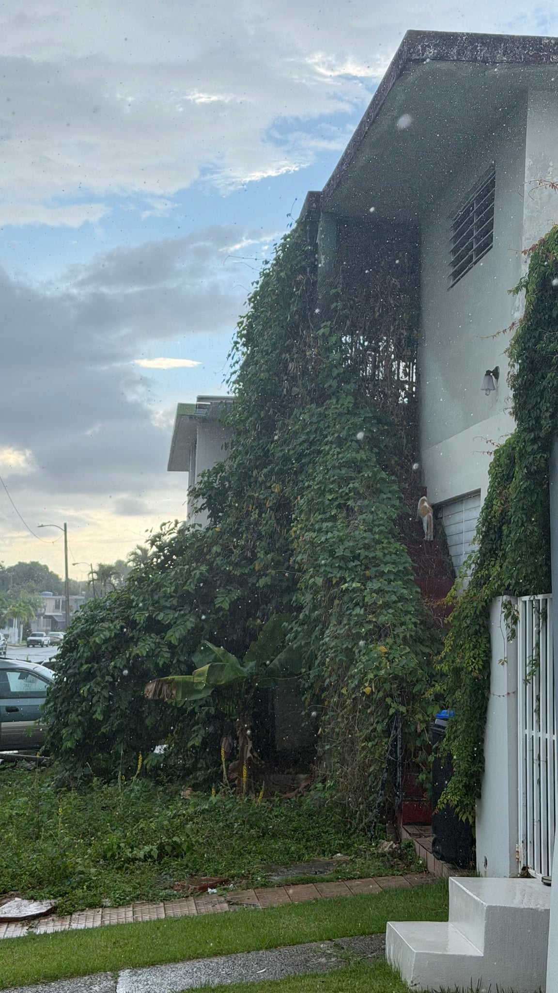 Reporte ciudadano de estorbo público en 377 Cll Citadel, Rio Piedras, PR 00926, San Juan