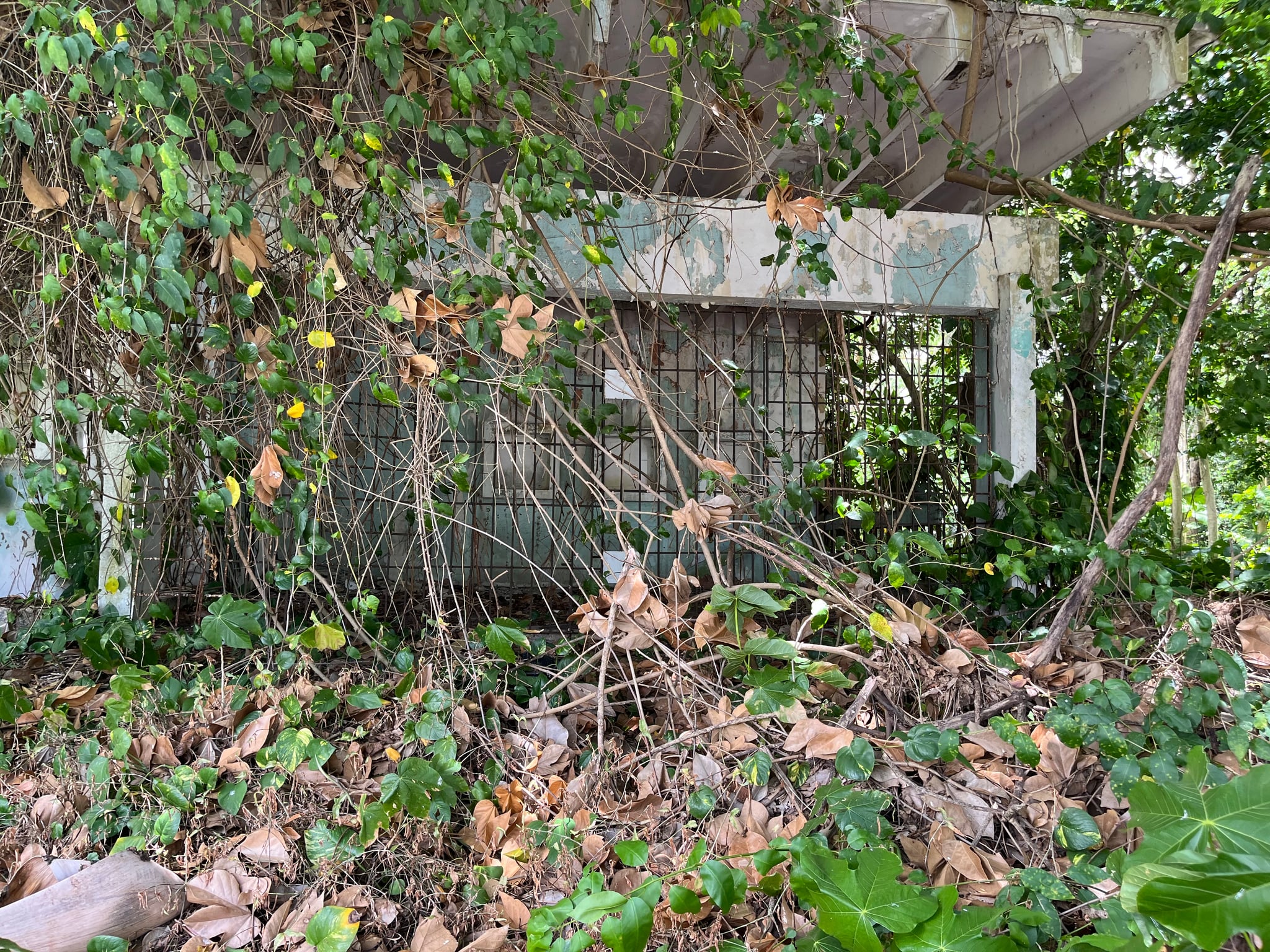 Reporte ciudadano de estorbo público en Urb belisa solar #64, San Juan, PR 00927, San Juan