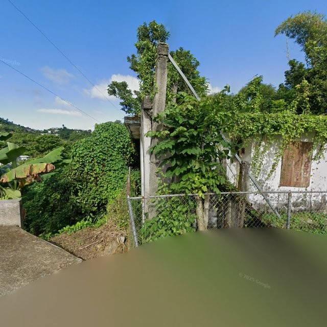 Reporte ciudadano de estorbo público en 5X6V+V9P Jagual, San Lorenzo, Puerto Rico, San Lorenzo