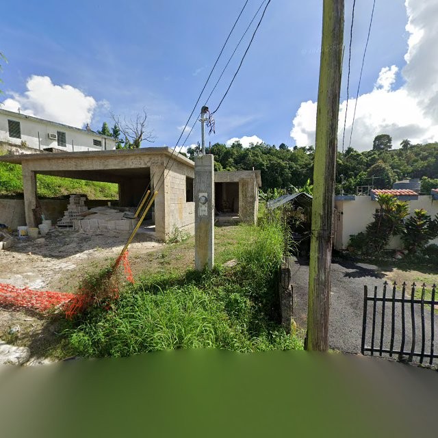 Reporte ciudadano de estorbo público en 62FW+3PX San Lorenzo, Puerto Rico, San Lorenzo