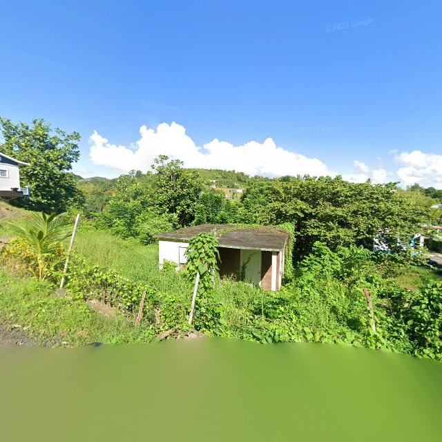 Reporte ciudadano de estorbo público en 5X6X+JFG San Lorenzo, Puerto Rico, San Lorenzo