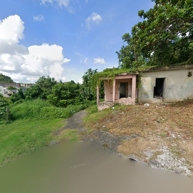 Reporte ciudadano de estorbo público en 629W+55H San Lorenzo, Puerto Rico, San Lorenzo