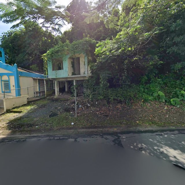 Reporte ciudadano de estorbo público en 62GX+CQW San Lorenzo, Puerto Rico, San Lorenzo