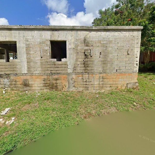 Reporte ciudadano de estorbo público en 9QX5+4WG Toa Baja, Puerto Rico, Toa Baja