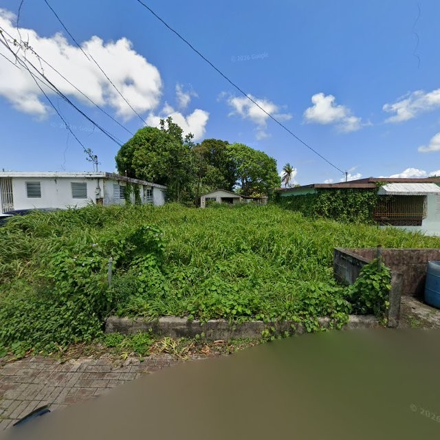Reporte ciudadano de estorbo público en CRG8+XPX Toa Baja, Puerto Rico, Toa Baja