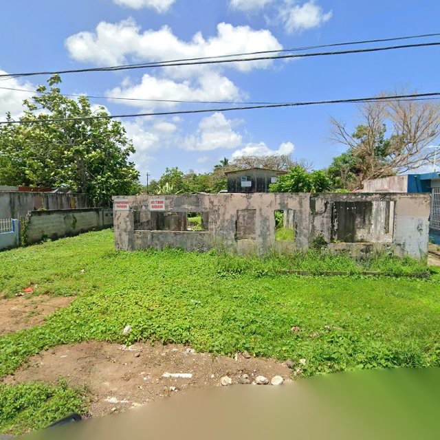 Reporte ciudadano de estorbo público en CQWF+85C Ingenio, Toa Baja, Puerto Rico, Toa Baja