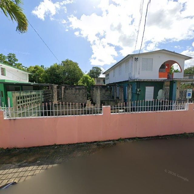 Reporte ciudadano de estorbo público en CRP7+664 Toa Baja, Puerto Rico, Toa Baja