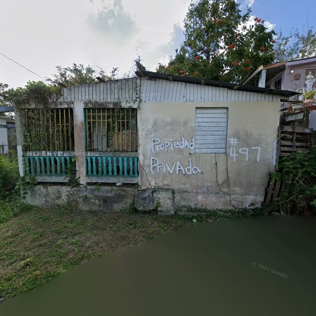 Reporte ciudadano de estorbo público en CQG4+35Q Toa Baja, Puerto Rico, Toa Baja