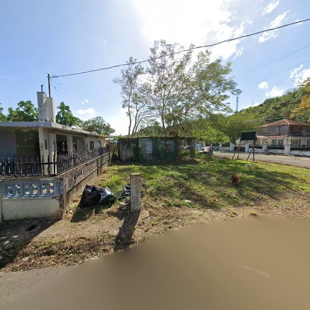 Reporte ciudadano de estorbo público en CQ97+X9P Toa Baja, Puerto Rico, Toa Baja