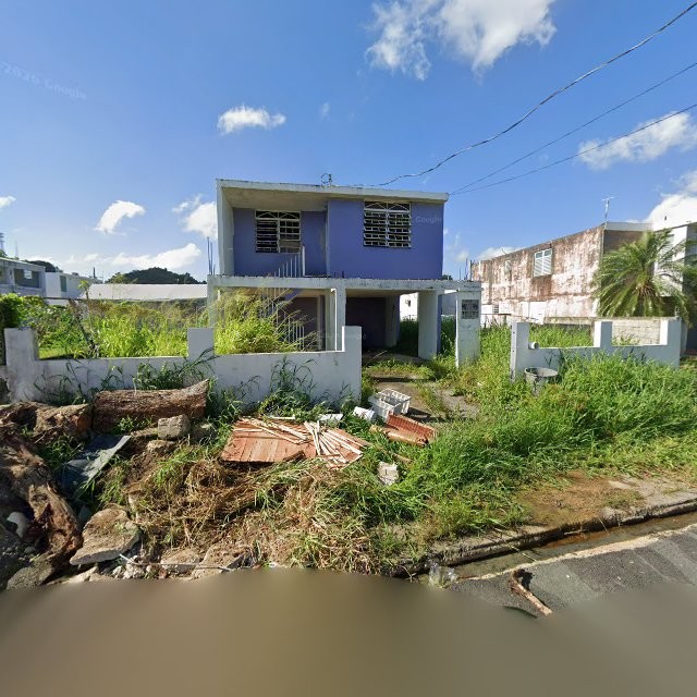 Reporte ciudadano de estorbo público en BO CAMPANILLA , SOLAR 554, PR, Puerto Rico, 00000, Toa Baja