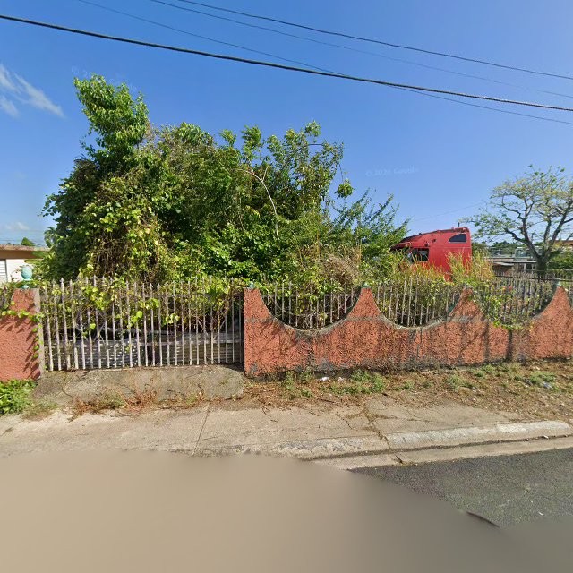 Reporte ciudadano de estorbo público en CQC8+H66 Toa Baja, Puerto Rico, Toa Baja