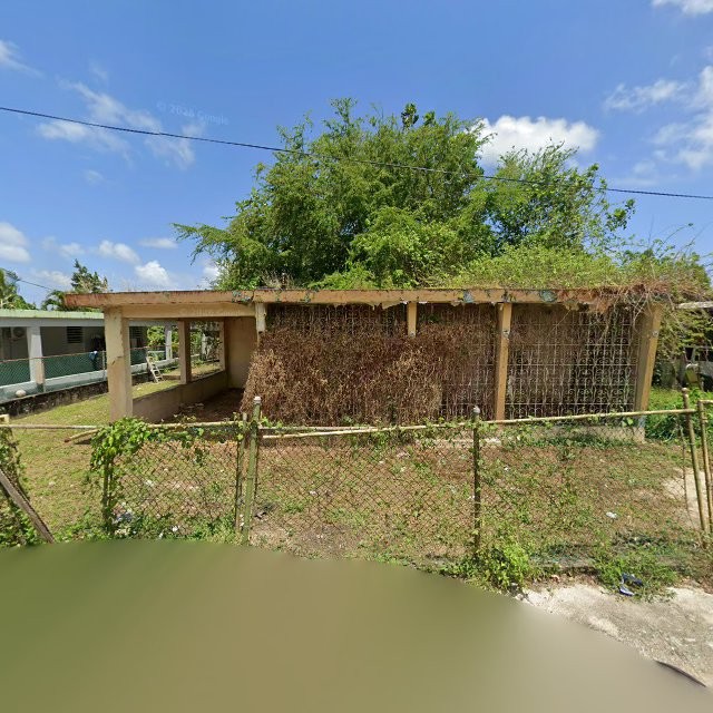 Reporte ciudadano de estorbo público en CQWF+XGV Toa Baja, Puerto Rico, Toa Baja