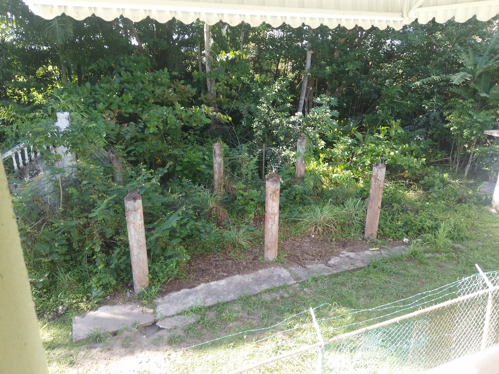Reporte ciudadano de estorbo público en Camino Verde, Cerro Gordo, PR 00692, Vega Alta