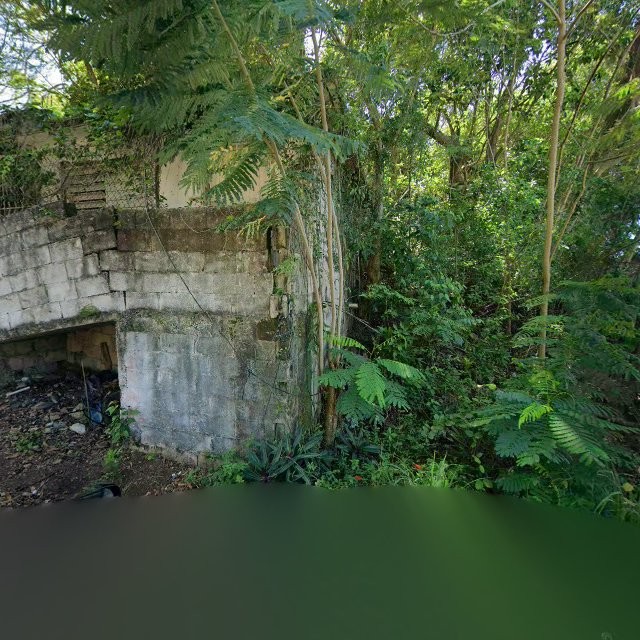 Reporte ciudadano de estorbo público en CMW8+29P Sabana, Vega Alta, Puerto Rico, Vega Alta
