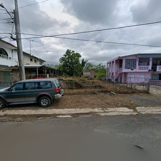 Reporte ciudadano de estorbo público en 9, COM RURAL, PR, Puerto Rico, 00000, Vega Baja