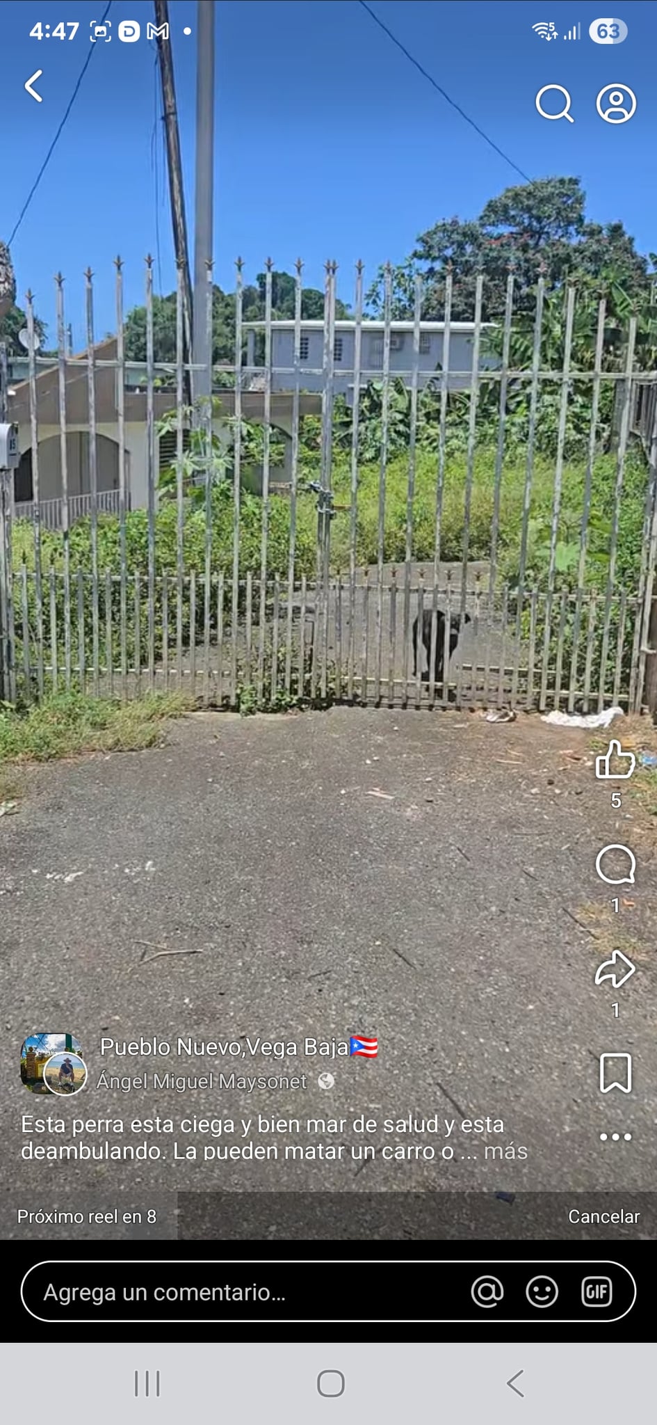 Reporte ciudadano de estorbo público en PUEBLO NUEVO , CALLE 7C P 252 B, Vega Baja, PR 00693, Vega Baja
