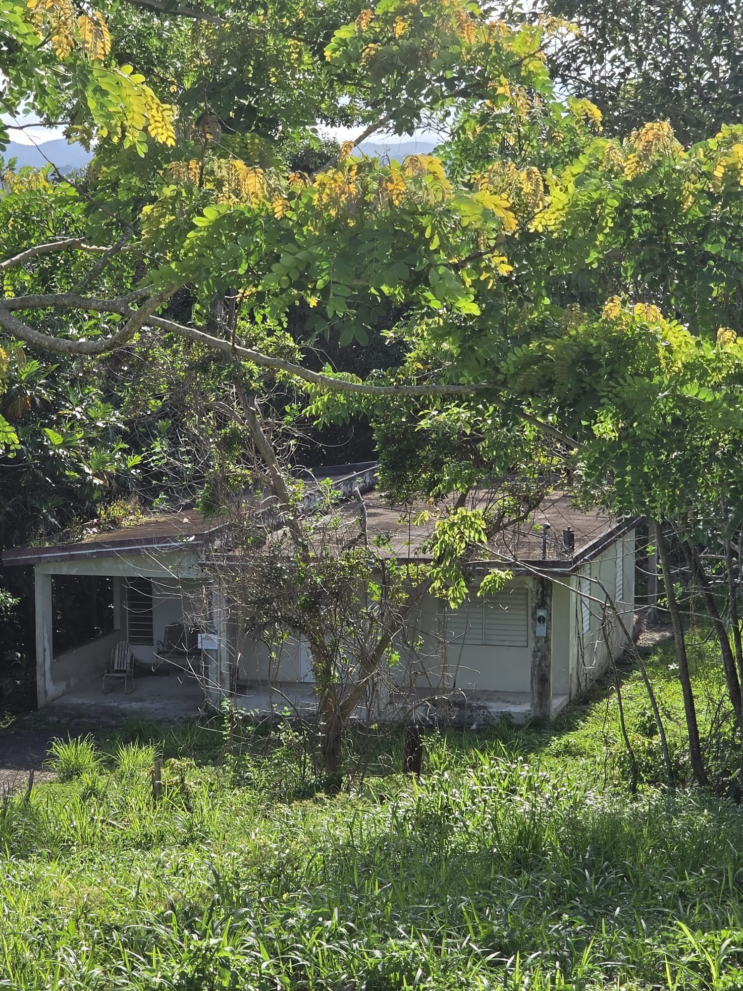 Reporte ciudadano de estorbo público en Sector la comuna, aguacate, Yabucoa, PR 00767, Yabucoa