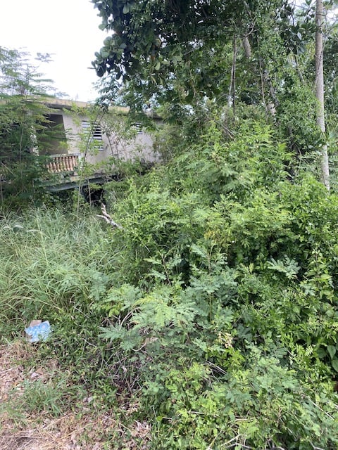 Reporte ciudadano de estorbo público en Susua alta sector la república , Yauco PR, PR 00698, Yauco